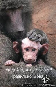 Аватара пользователя
